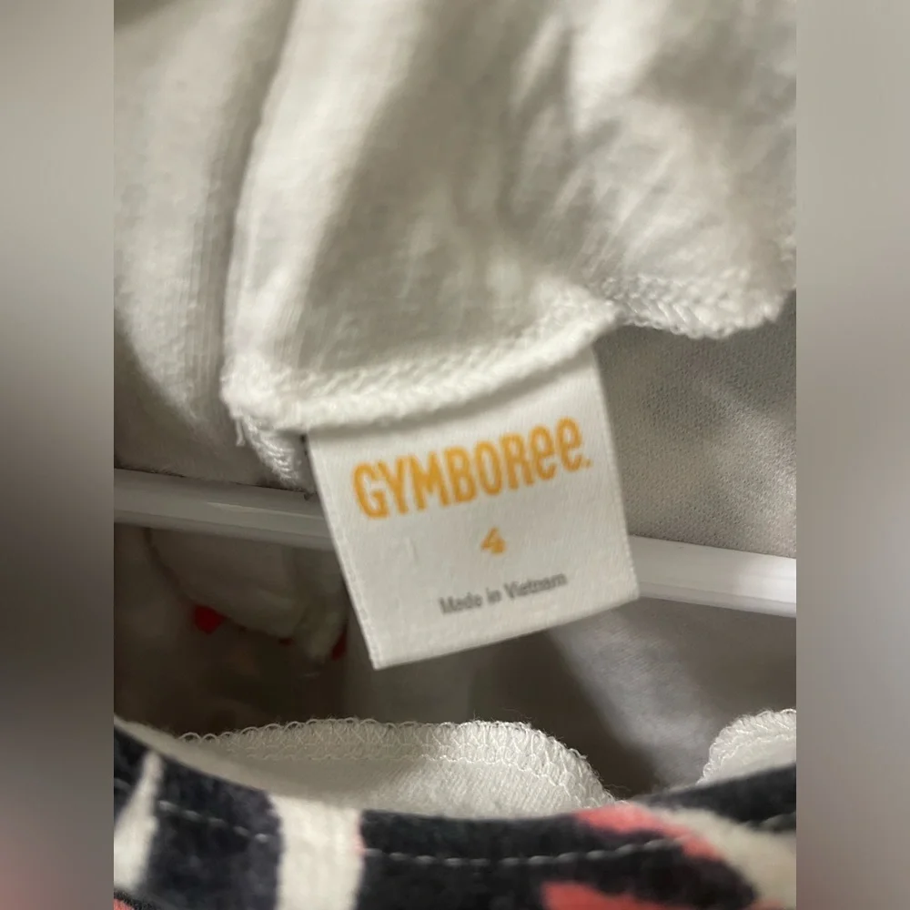 4T Gymboree Dress